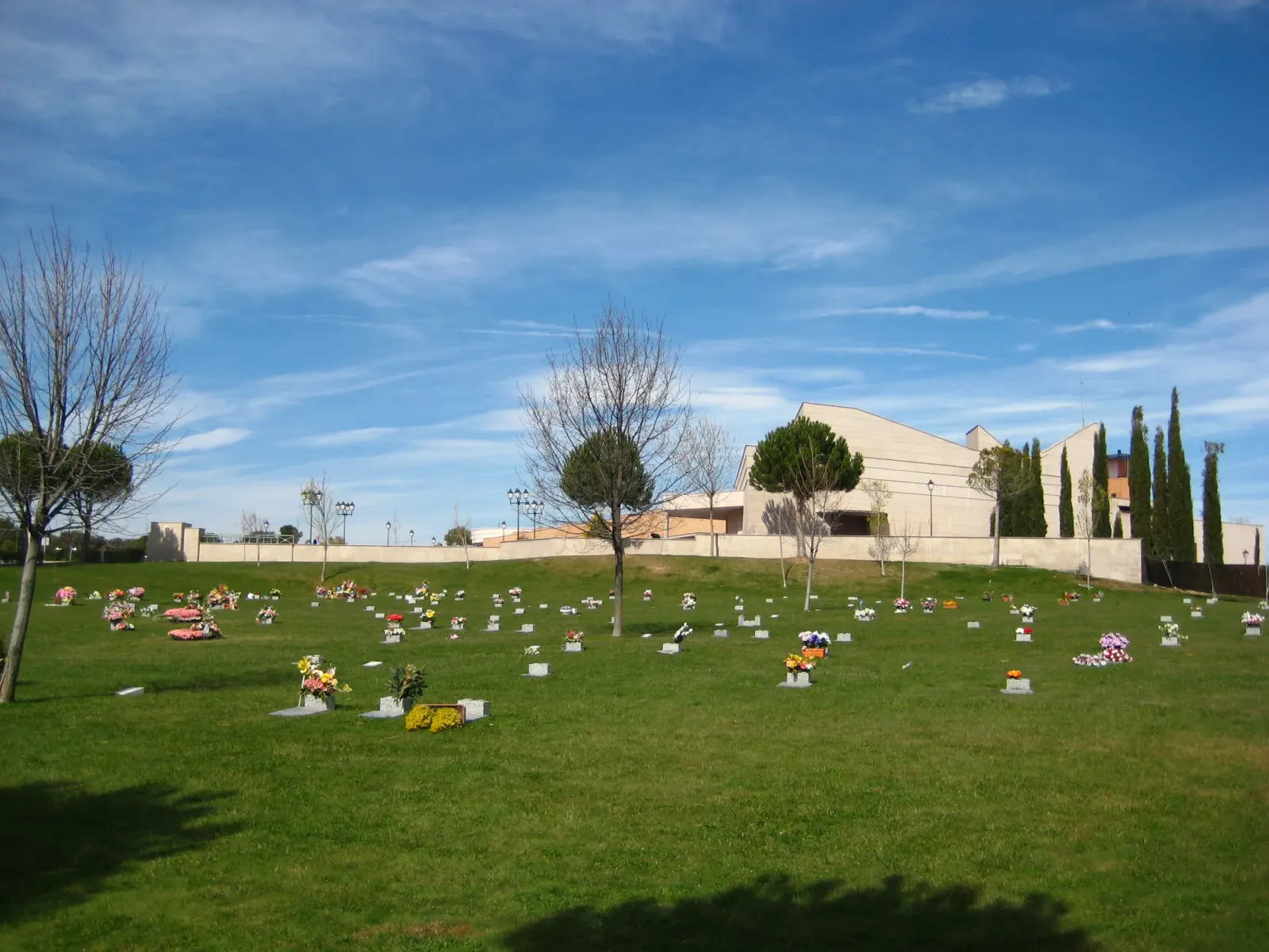 Galería 13
